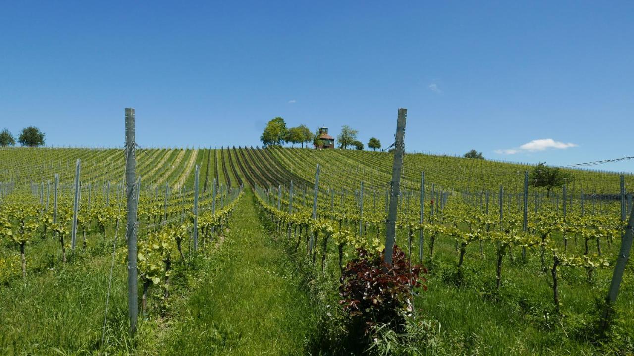 Haus Muensterblick Lejlighed Reichenau Eksteriør billede